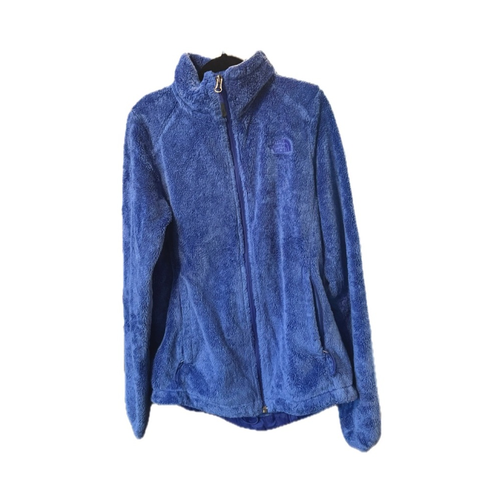 The North Face Plush Blue Fleece Jacket